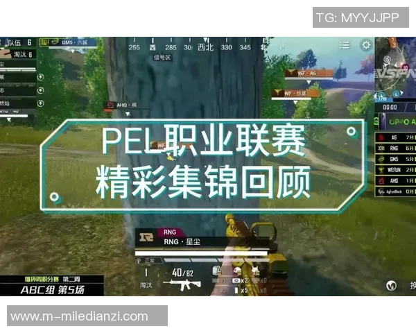 2026年3月份新闻和平精英战队RNG的战术节奏解析与游戏策略探讨